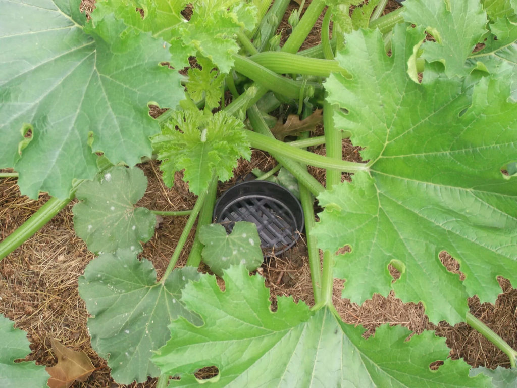 Municipalités - Logissol-O dans le jardin